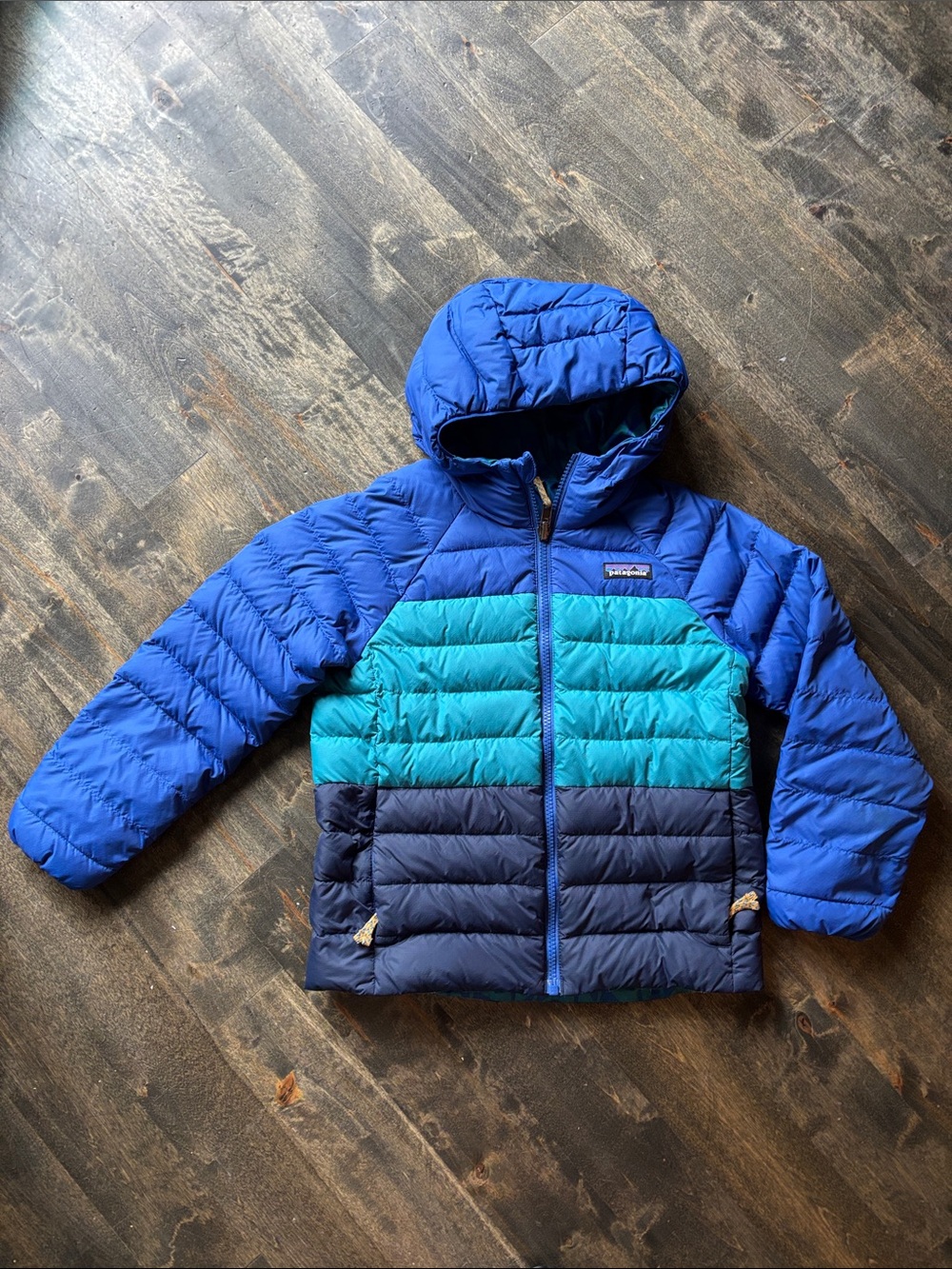 Patagonia Kids Reversible Down Sweater Hoody